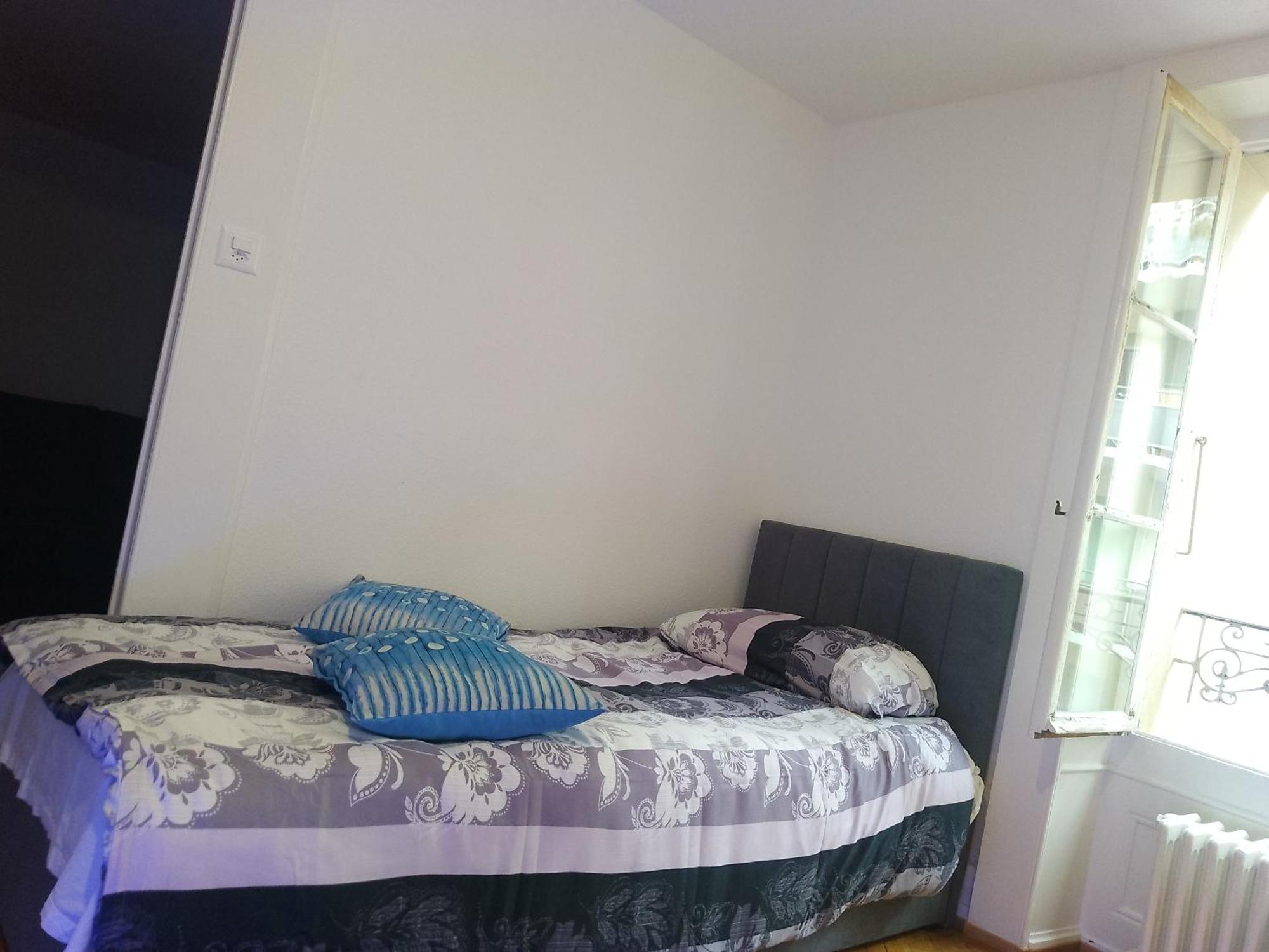 Charming Flat Center And Near The Lake Geneva Ngoại thất bức ảnh